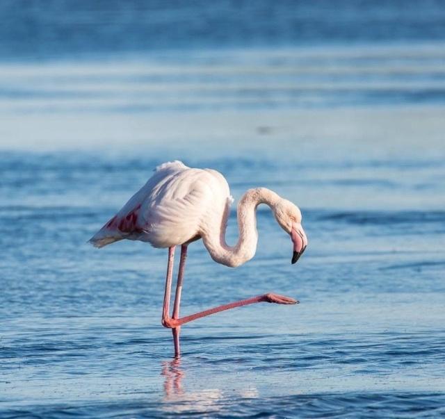 La Cigale Varoise - Hyeres La Plage エクステリア 写真